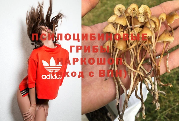 кокаин премиум Алексеевка