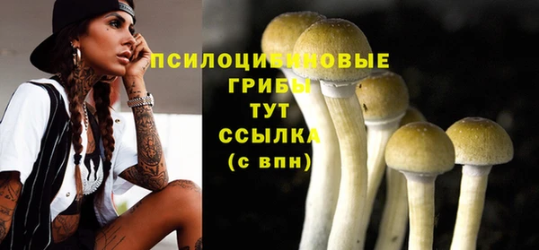 ГАЛЛЮЦИНОГЕННЫЕ ГРИБЫ Алексин