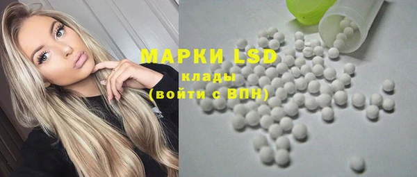 ГАЛЛЮЦИНОГЕННЫЕ ГРИБЫ Алексин