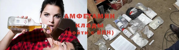 ГАЛЛЮЦИНОГЕННЫЕ ГРИБЫ Алексин