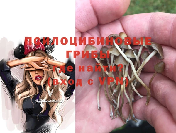соль курить ск Алзамай