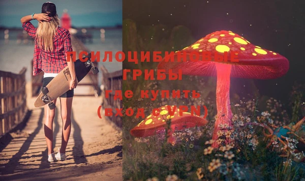 соль курить ск Алзамай