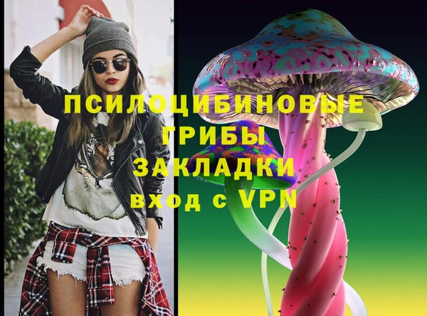 соль курить ск Алзамай